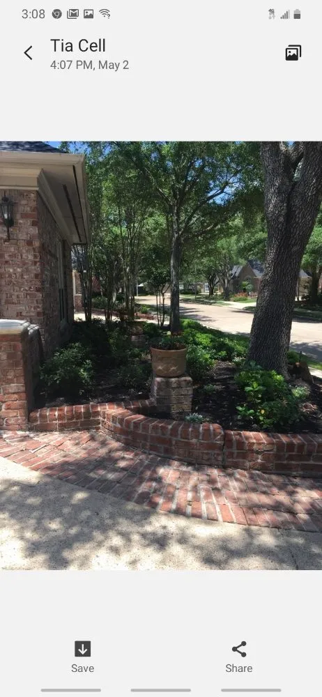 Trusted wood fence service in Katy, TX by A1 Solution