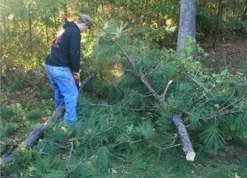 Professional wood fence service experts serving Elyria, OH - AJK Builders