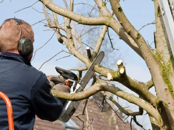 Affordable wood fence service service in Elyria, OH - AJK Builders