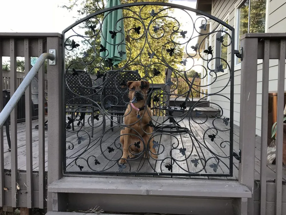 Reliable vinyl fence installation for homes in Fallbrook, CA by Alpha Cat Welding