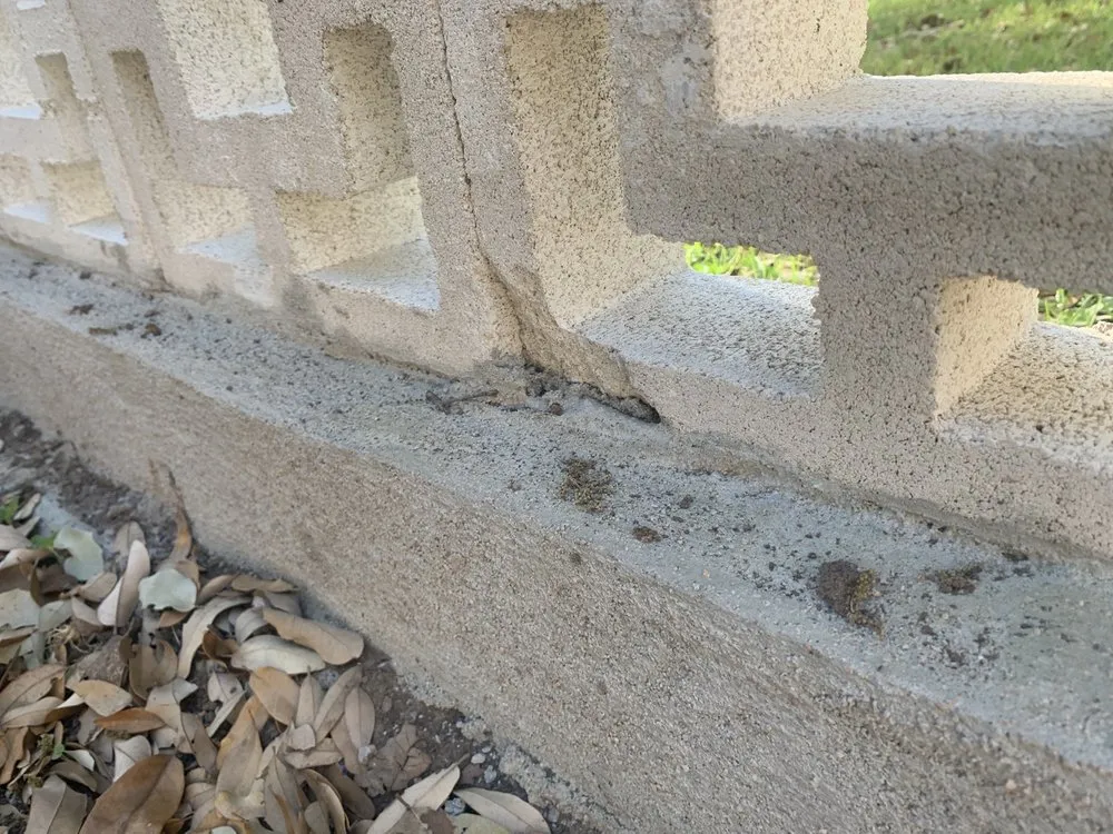 Professional wood fence service in Georgetown, TX by Alphascapes