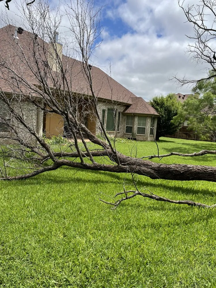 Trusted vinyl fence installation experts serving Abilene, TX - Apex Tree Services