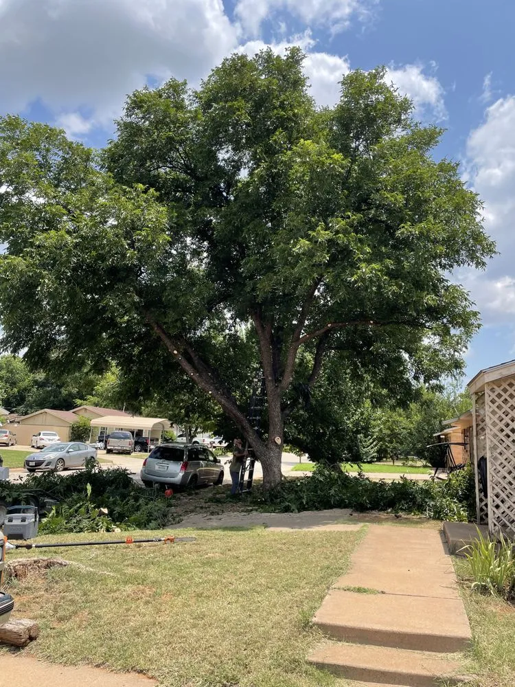Top-rated fence repair service in Abilene, TX - Apex Tree Services