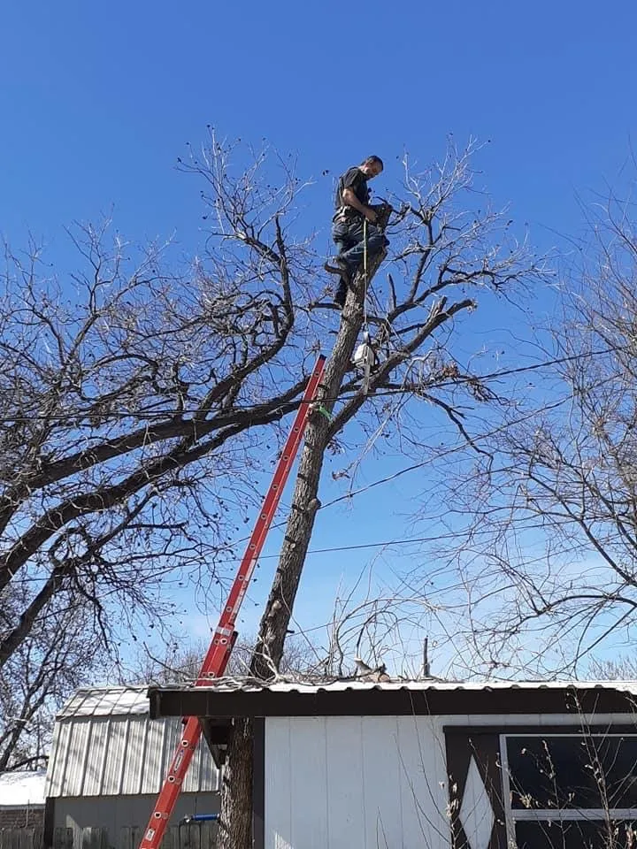 Professional fence repair service in Abilene, TX - Apex Tree Services