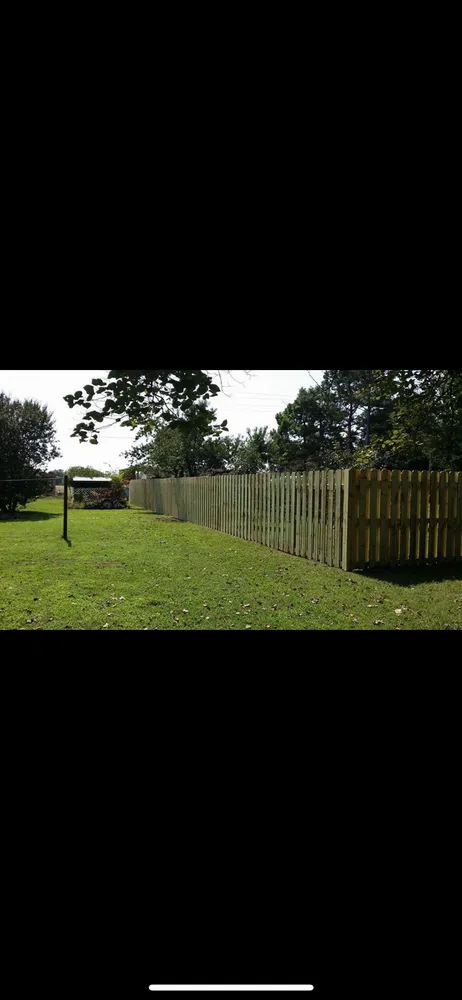 Local privacy fencing experts serving Brookland, AR - Backyard View