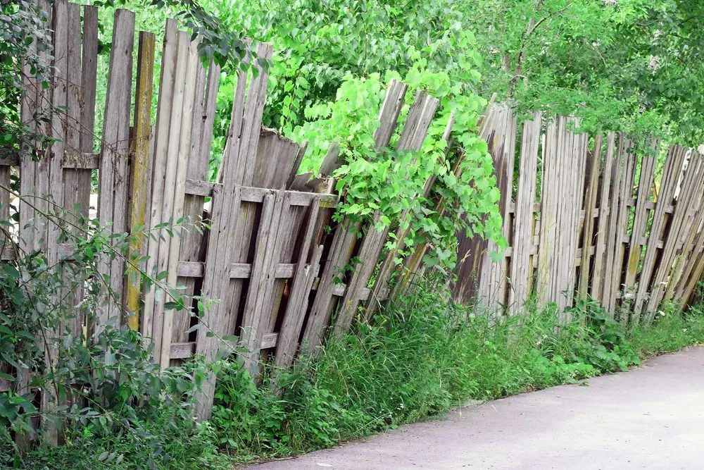 Top-rated fence repair service in Irving, TX - Basically Fences