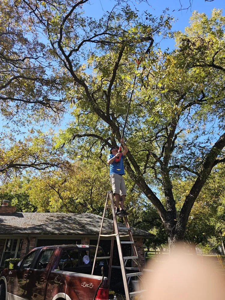 Trusted wood fence service for homes in Abilene, TX by B&E Tree