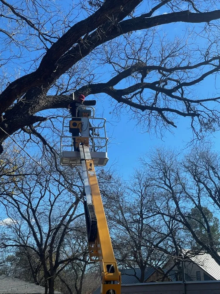 Expert vinyl fence installation service in Abilene, TX - B&E Tree