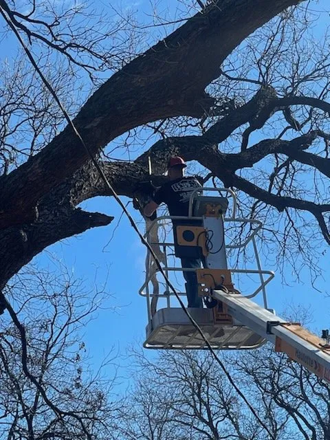 Local wood fence service in Abilene, TX by B&E Tree