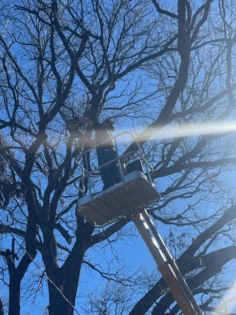 Local wood fence service for homes in Abilene, TX by B&E Tree