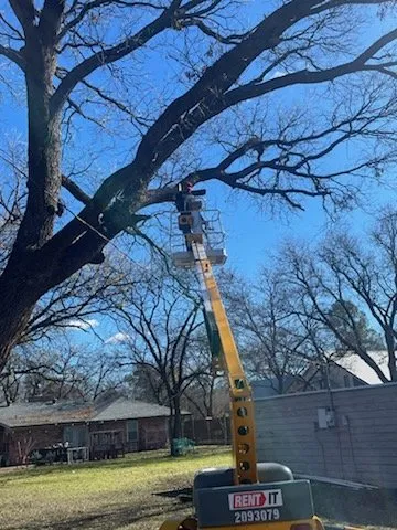 Trusted fence installation for homes in Abilene, TX by B&E Tree