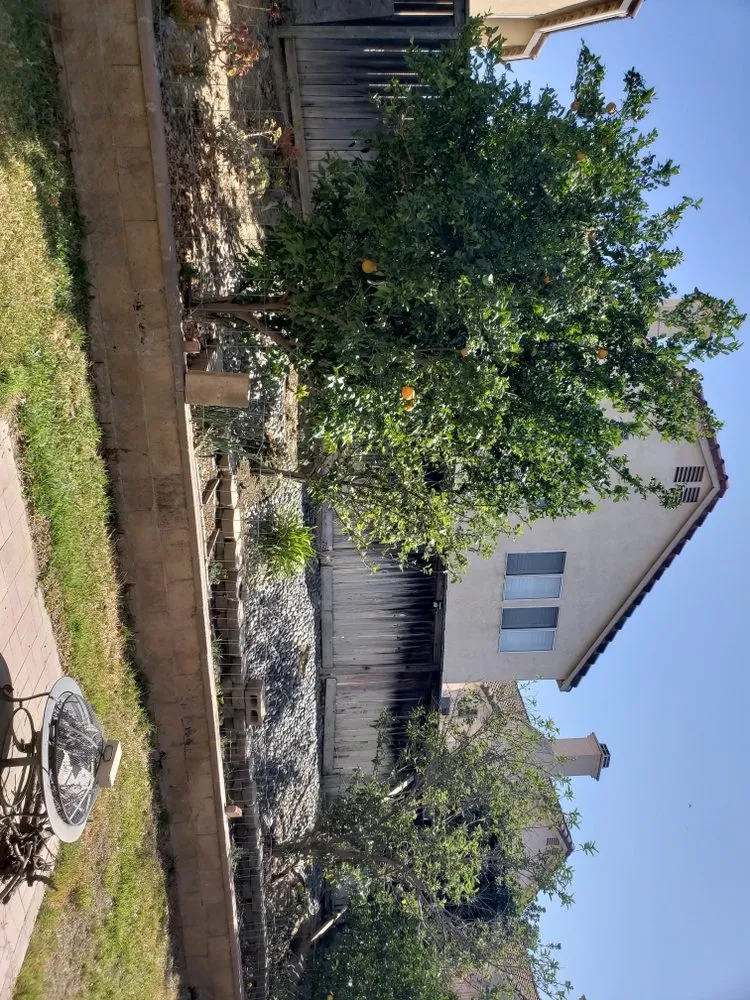 Expert privacy fencing for homes in Riverside, CA by Box Master