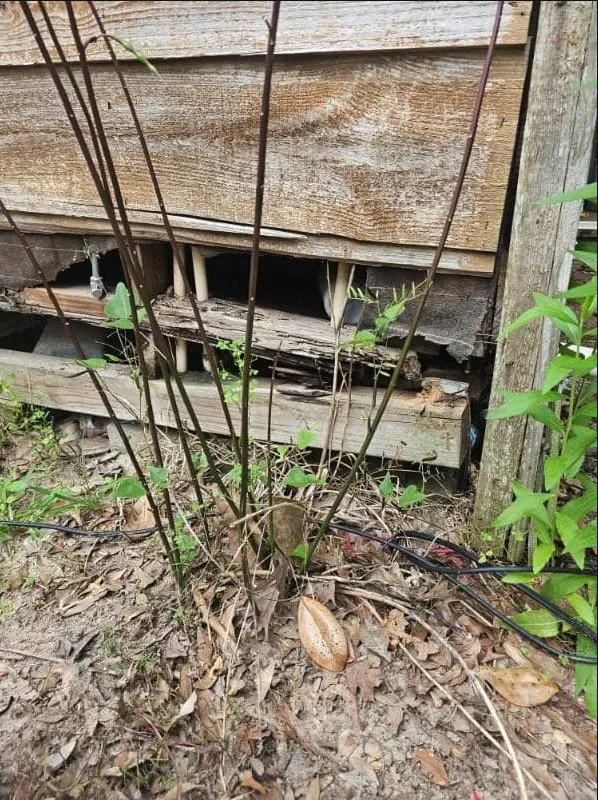 Top-rated wood fence service experts serving Tomball, TX - B&R Construction