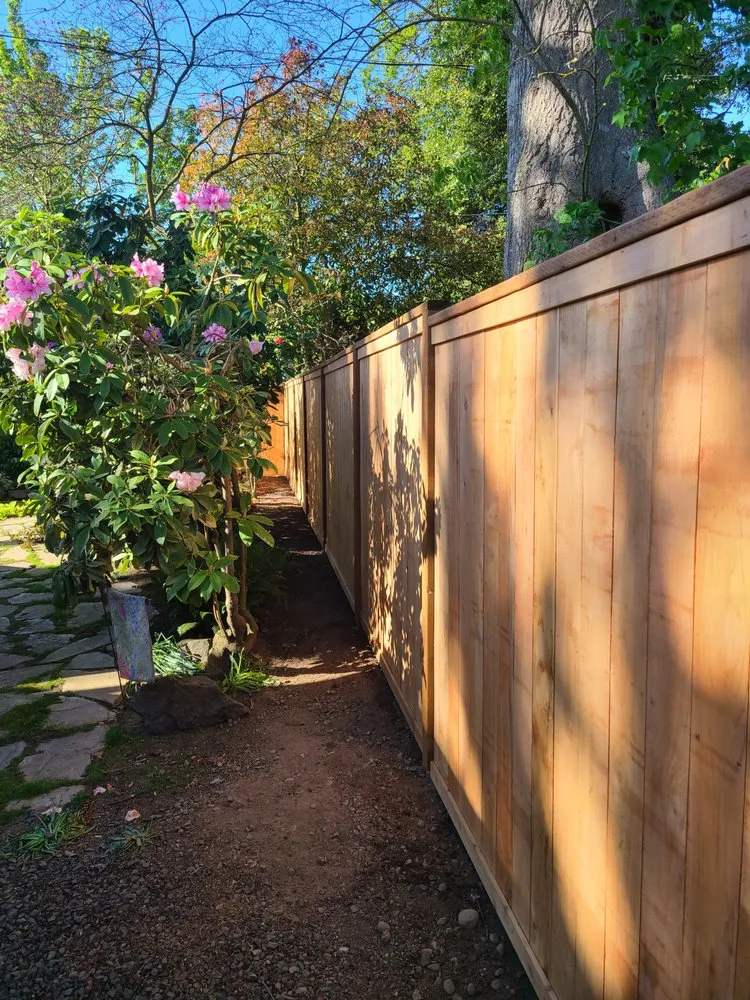 Reliable chain link fencing for homes in Eugene, OR by Bradley & Son