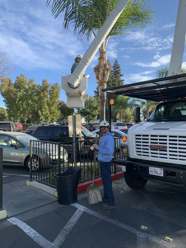 Affordable fence repair experts serving Modesto, CA - Cal Roots