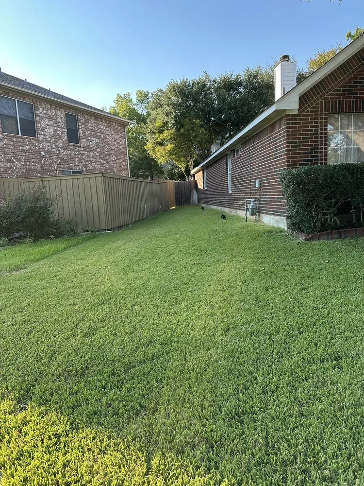 Local chain link fencing experts serving Elgin, TX - C&I Landscaping