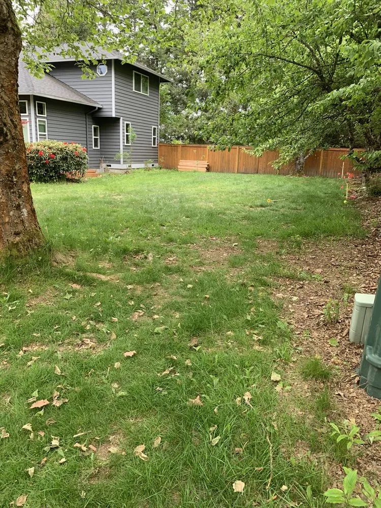 Trusted fence repair experts serving Everett, WA - CMW Construction