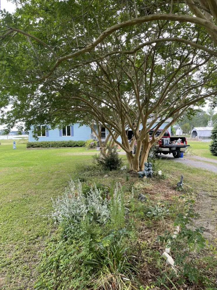 Professional wood fence service service in Dutton, VA - Cobra Contracting