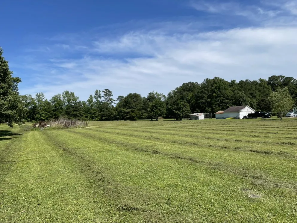 Professional chain link fencing for homes in Dutton, VA by Cobra Contracting