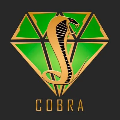 Cobra Contracting