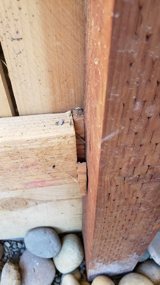 Local vinyl fence installation experts serving Clovis, CA - Coons' Fences