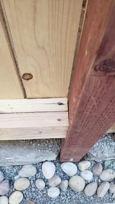 Coons' Fences