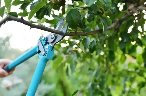 Affordable fence repair service in Bell, FL - Cornell Customs