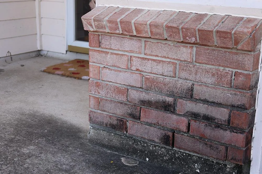 Quality wood fence service service in Humble, TX - Coyle Services