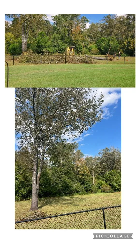 Affordable wood fence service service in Jackson, SC - CSRA Solution