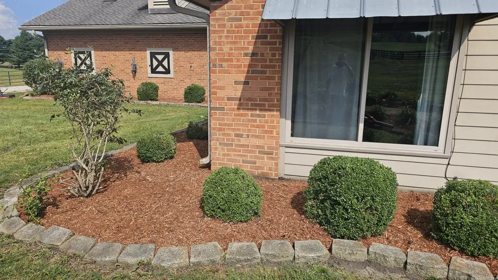 Expert chain link fencing for homes in Floyds Knobs, IN by Darrells Do It All Service
