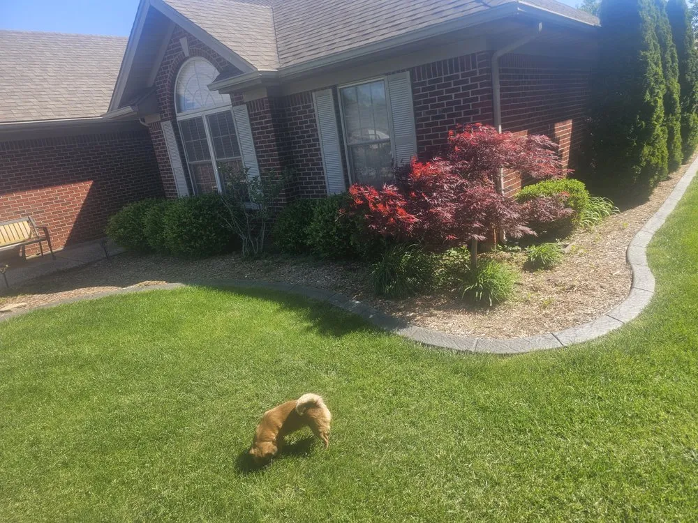 Affordable vinyl fence installation service in Floyds Knobs, IN - Darrells Do It All Service