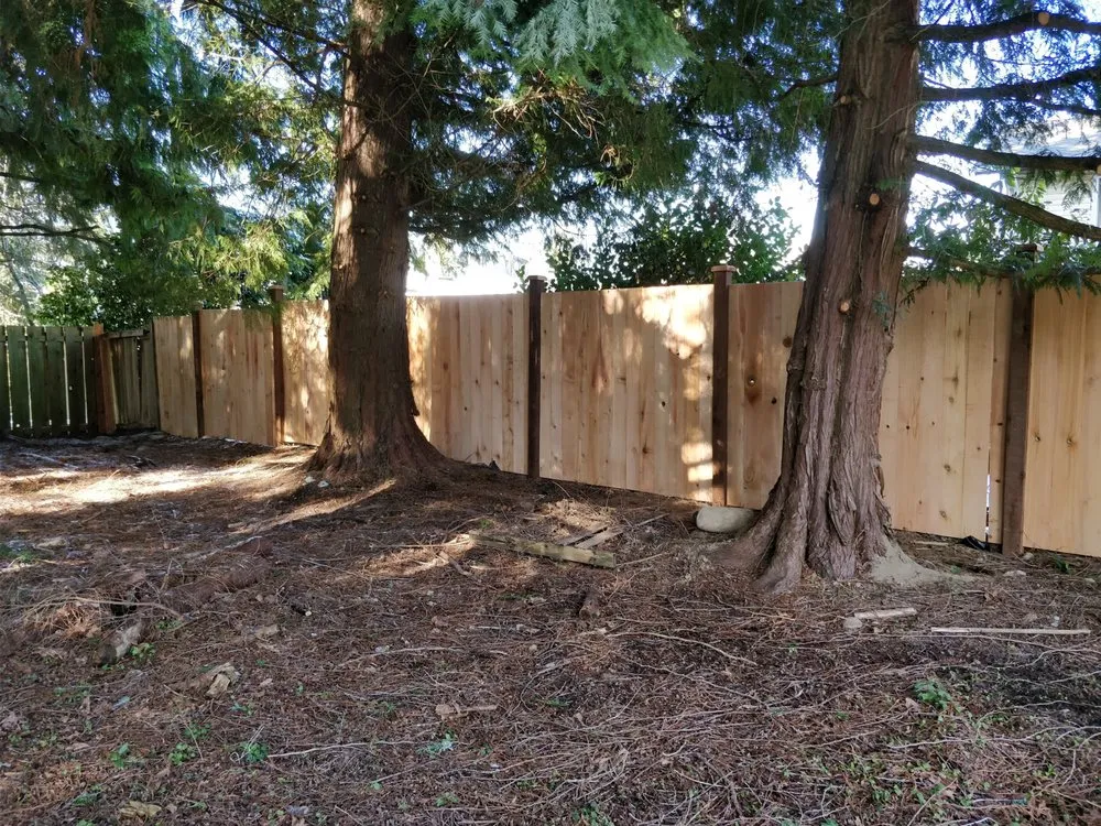 Expert wood fence service experts serving Bothell, WA - DDNWCC