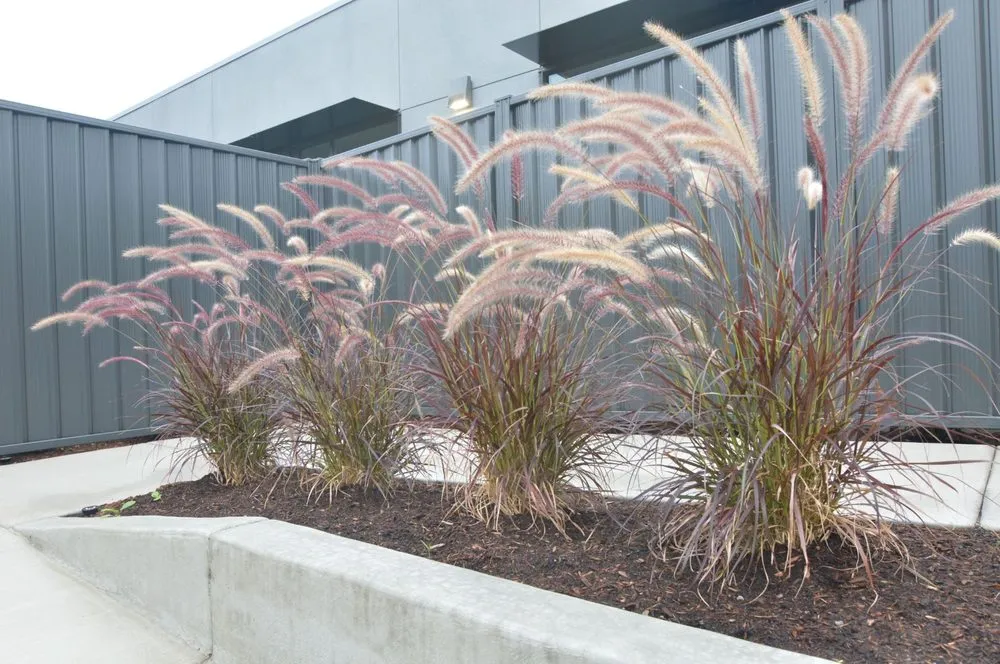 Trusted vinyl fence installation service in Eugene, OR - DuraBond