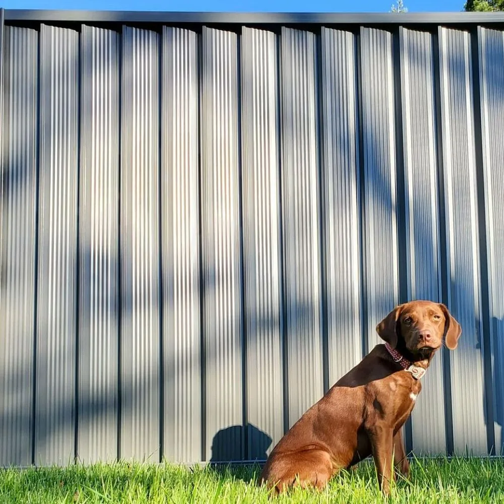 Trusted chain link fencing for homes in Eugene, OR by DuraBond
