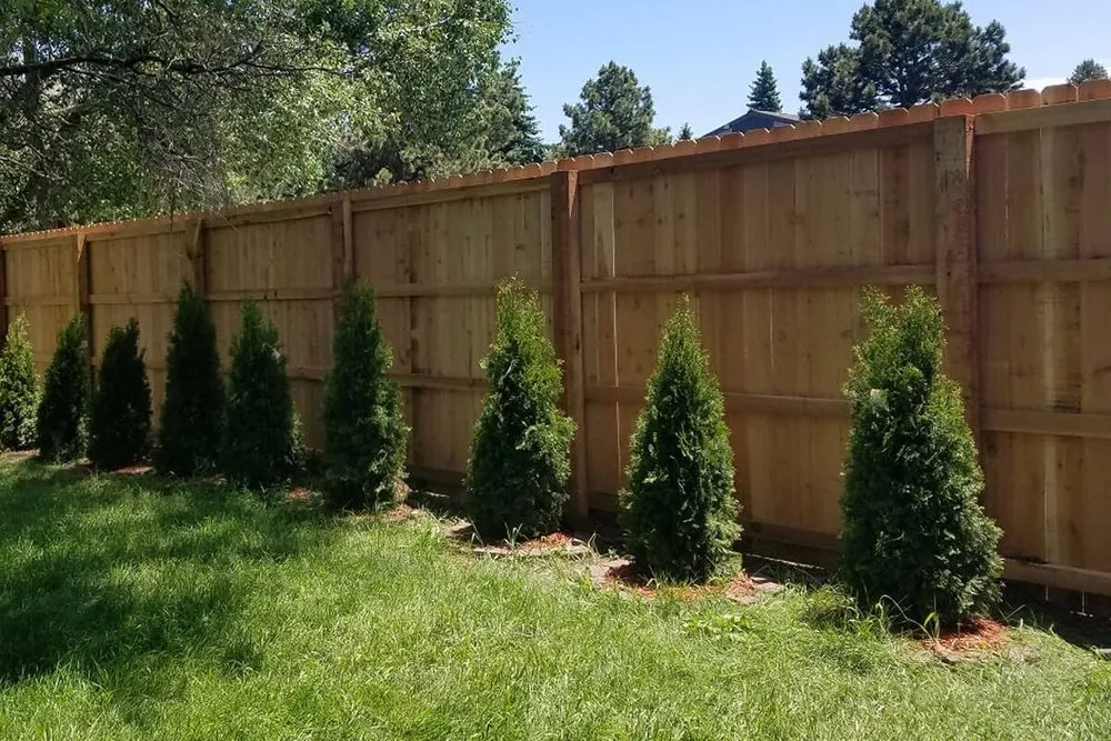 Professional fence installation service in Everett, WA - Dvp
