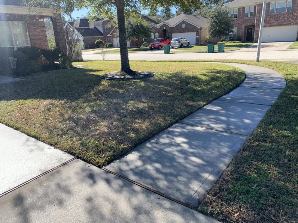 Reliable privacy fencing service in Conroe, TX - E5 Construction