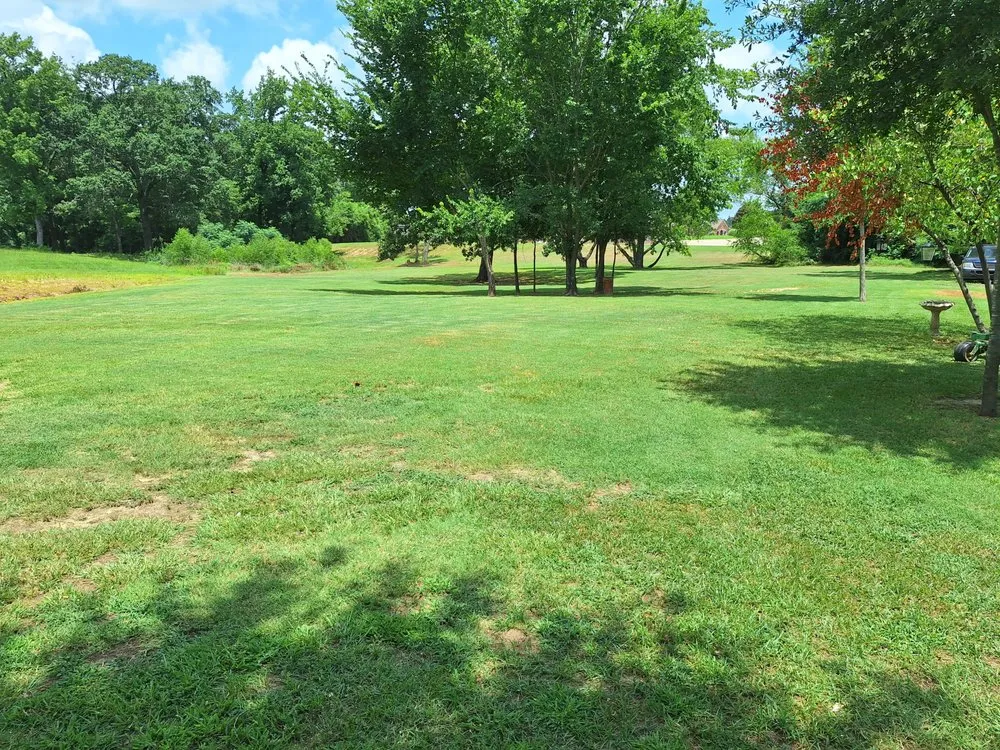 Affordable fence installation for homes in Mount Pleasant, TX by EJ Services