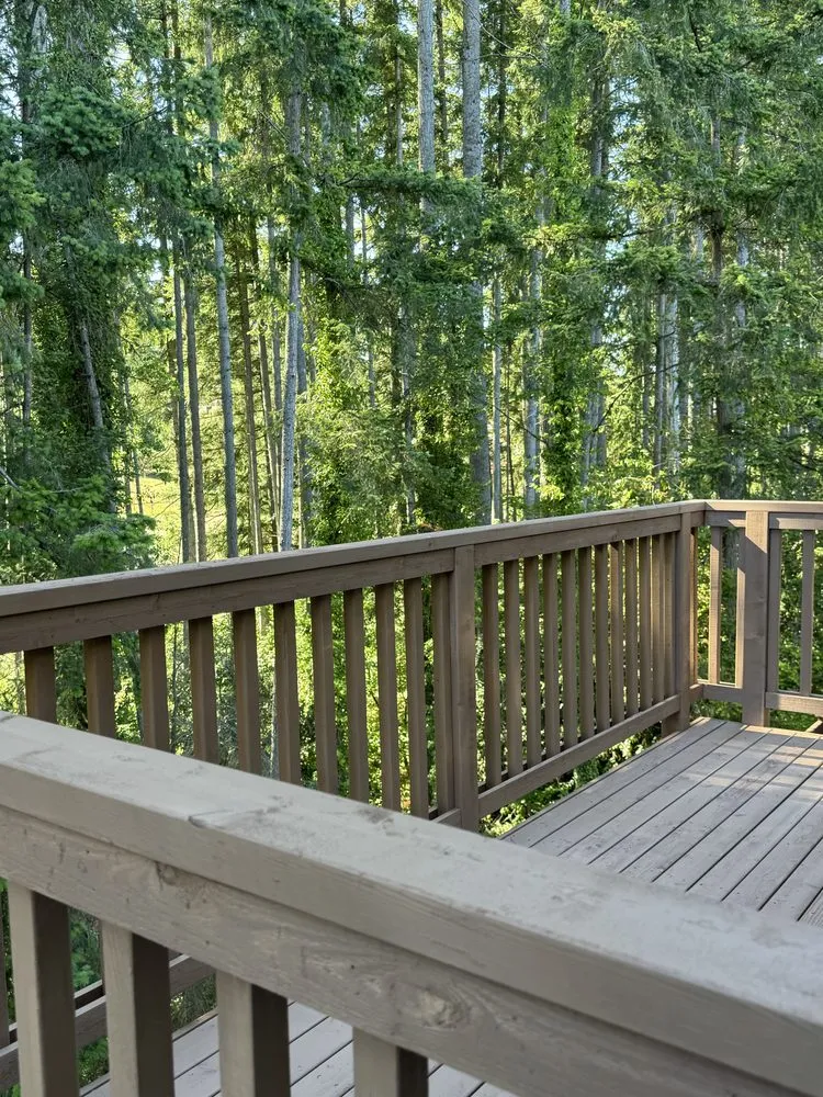 Expert chain link fencing for homes in Bothell, WA by Elite Yard Solutions