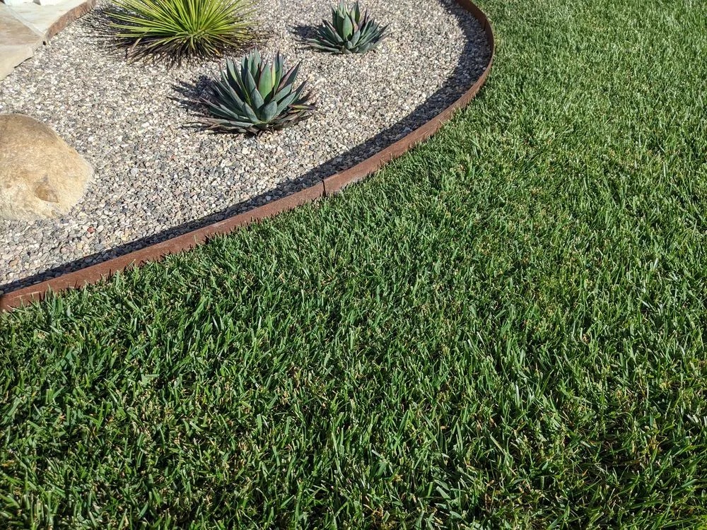 Expert chain link fencing experts serving Lompoc, CA - Evolution Landscaping