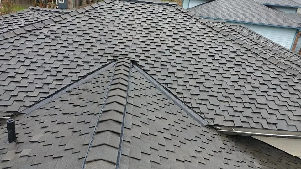 Reliable privacy fencing service in Everett, WA - Evolution Roofing And Construction