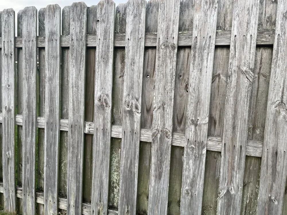 Top-rated wood fence service service in Rockledge, FL - Fence & Gate Plus