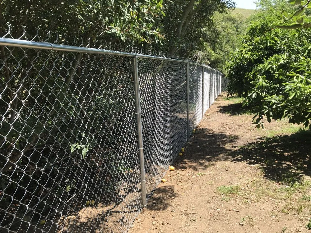 Reliable wood fence service service in Fallbrook, CA - Fence Pros Plus