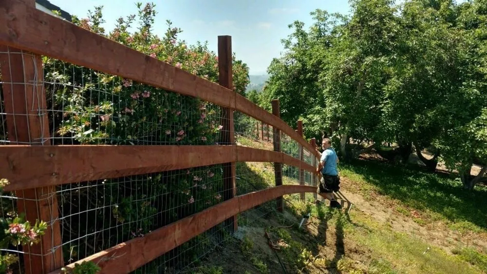 Affordable chain link fencing for homes in Fallbrook, CA by Fence Pros Plus