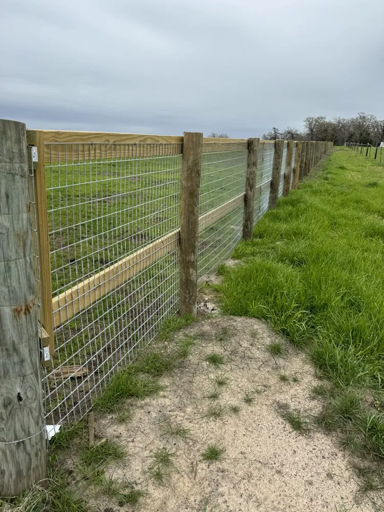 Trusted privacy fencing service in Bryan, TX - Fences Services