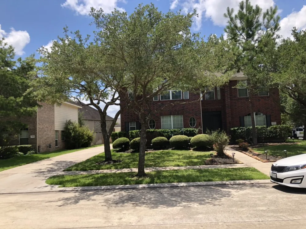 Trusted fence installation experts serving Spring, TX - First Texas Tree Services