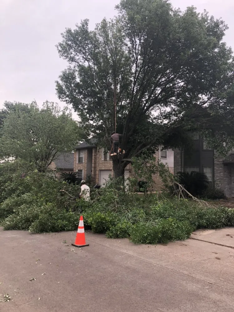 Quality fence repair for homes in Spring, TX by First Texas Tree Services