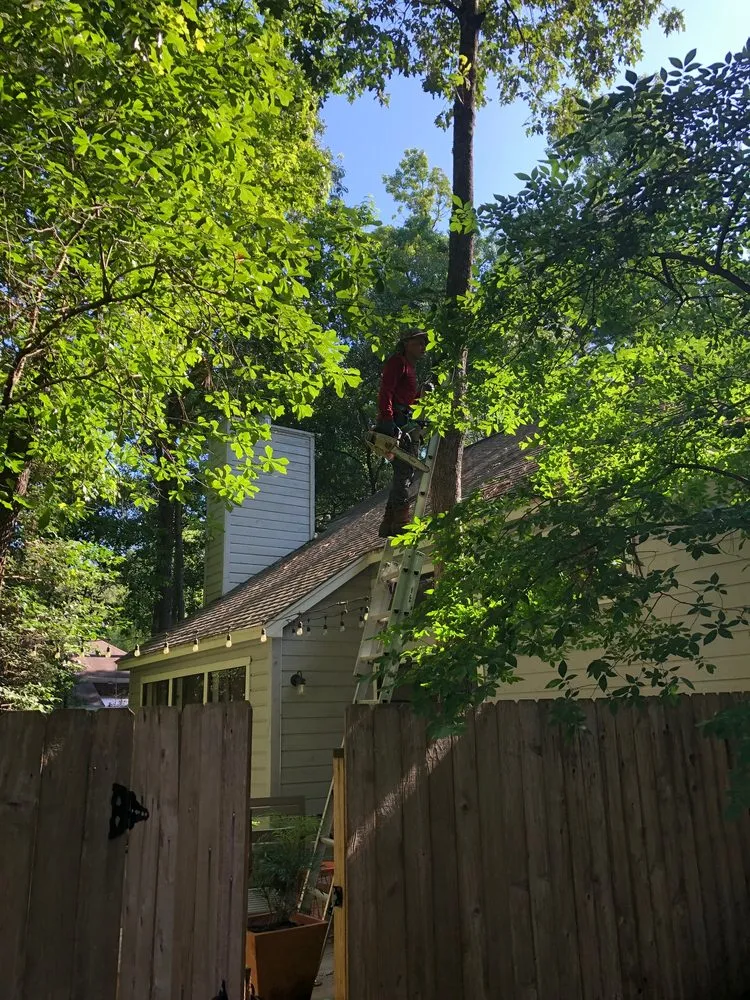 Quality vinyl fence installation for homes in Spring, TX by First Texas Tree Services