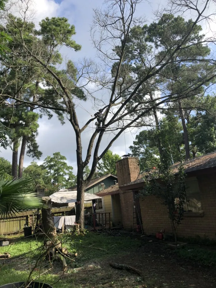 Professional vinyl fence installation in Spring, TX by First Texas Tree Services