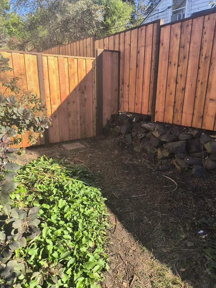 Affordable privacy fencing in Springfield, OR by Five Seasons