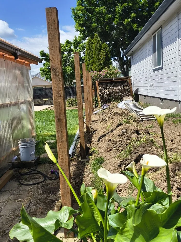 Reliable fence installation service in Springfield, OR - Five Seasons